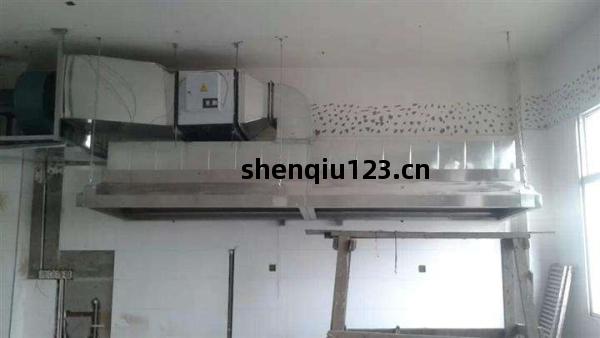 油(you)煙凈化(hua)工程(cheng)