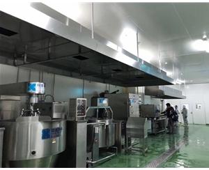 餐(can)廳廚房排(pai)煙(yan)