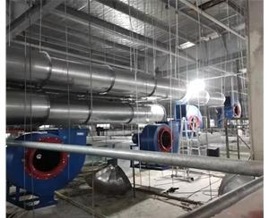 嘉(jia)興(xing)食品(pin)廠(chang)排(pai)煙工(gong)程(cheng)