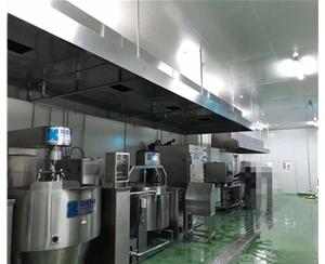 嘉(jia)興(xing)食品(pin)廠(chang)排(pai)煙